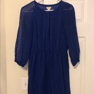 Jcrew Swiss Dot Dress